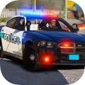 POLICE SIM