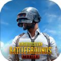 pubg kr version
