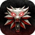 巫师怪兽杀手
