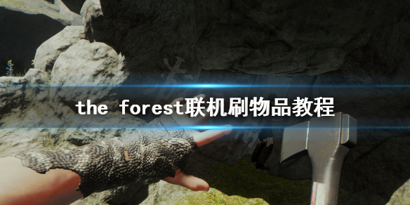 《森林》游戏联机怎么刷物品 the forest联机刷物品教程