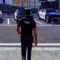 Police Patrol Simulator