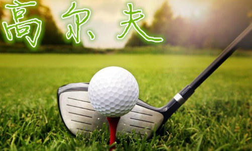 大众高尔夫