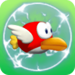笨鸟大冒险
