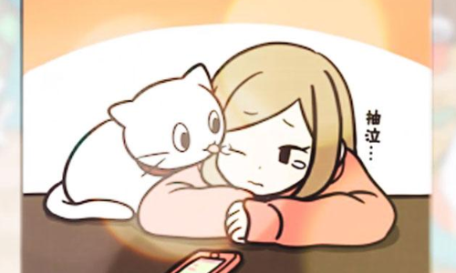 猫咪饲养日常