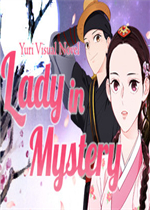 神秘的夫人完整存档版