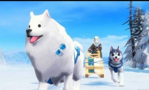 雪橇犬的生活