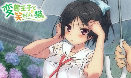变态王子与不笑猫