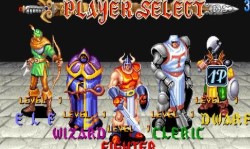 龙王战士安卓版apk