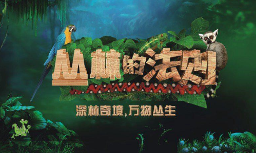丛林生存法则