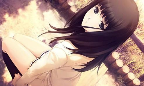 壳之少女