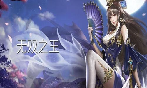 无双之王