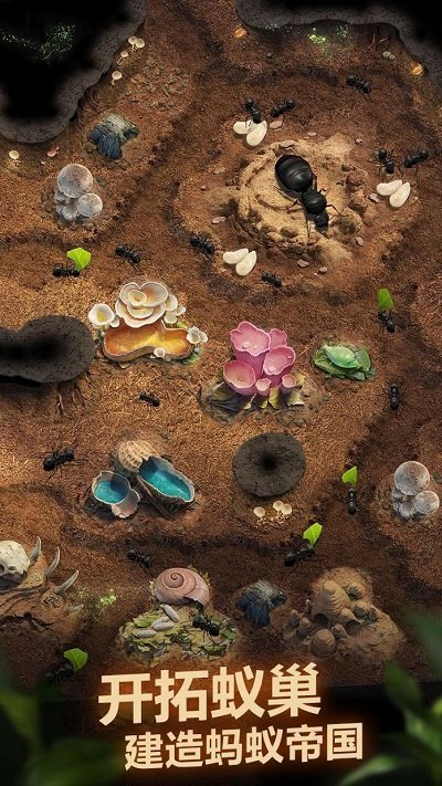 planet ant
