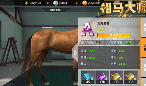 相马大师