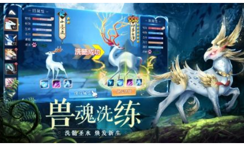 神兽养成记