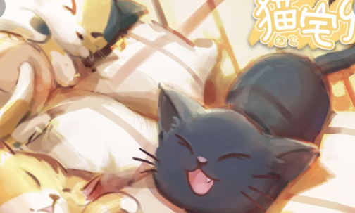 猫宅97
