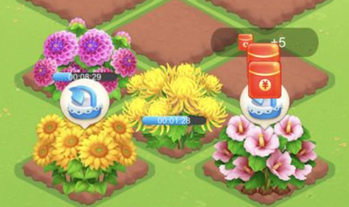 种花来养你2