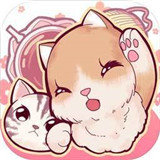 云撸猫咪