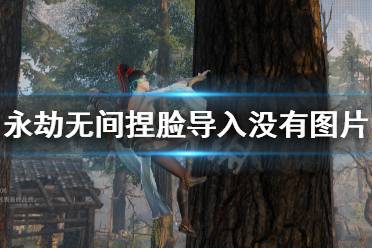 《永劫无间》捏脸导入没有图片怎么办