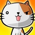 我有猫了