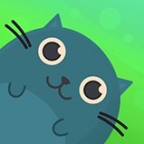 斑点猫