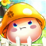 冒险彩虹岛