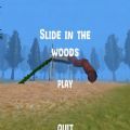 slide in the woods