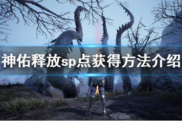 《神佑释放》sp点怎么获得