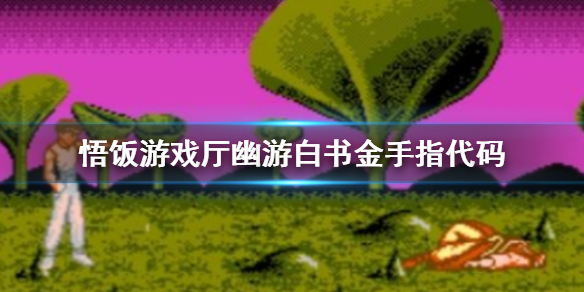 悟饭游戏厅幽游白书金手指代码大全