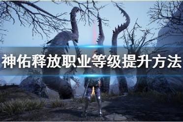 《神佑释放》职业等级是什么