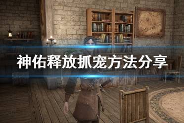 《神佑释放》宠物怎么抓