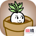 淘宝特价版合成金萝卜