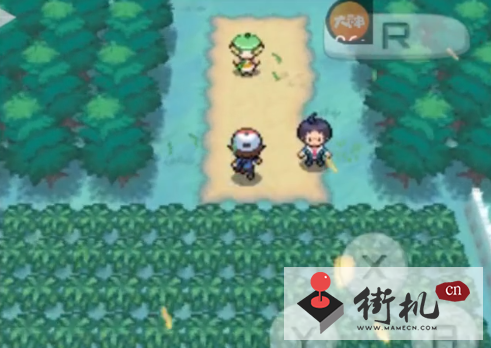 口袋妖怪黑白中文版