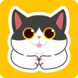 贪婪的猫咪