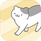 养只宠物猫