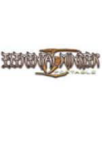元素怪兽TD携带版PSP中文汉化版