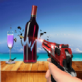 枪弹射击