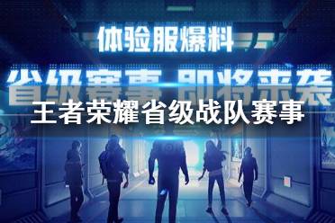 《王者荣耀》省级战队赛事怎么参加 体验服全民电竞省级赛事介绍