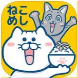 重力喵喵大冒险