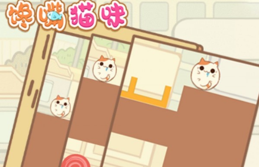 猫咪
