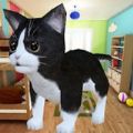 迷你小猫城市生存apk