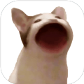 popcat.click