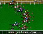 超级德贝赛马 (Super Derby) ROM
