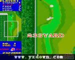 Tecmo 高尔夫 86 ROM