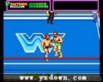 WWF 超级明星 (WWF Superstars) 美版ROM