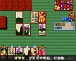 Hanafuda Hana Gokou ROM