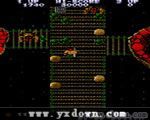 怒号层圈 / 胜利之路 (Victory Road) ROM