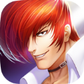 SNK FORCE Max