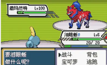 口袋妖怪铠之孤岛