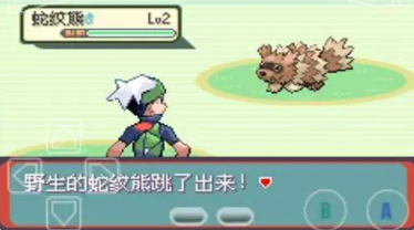 口袋妖怪究极绿宝石II