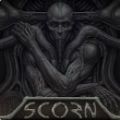 蔑视Scorn